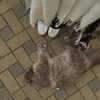 christinacharm Altpins Profile Picture