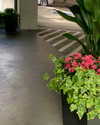 cialikechia Altpins Profile Picture
