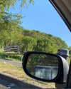 cialikechia Altpins Profile Picture