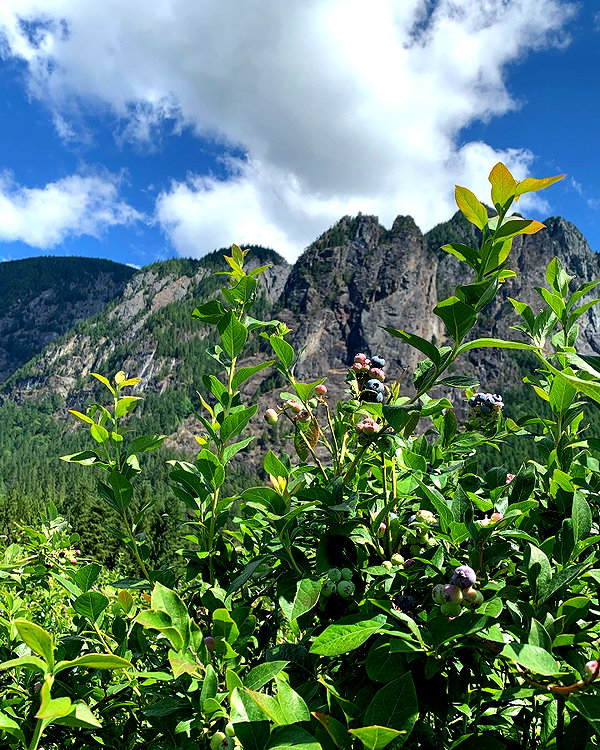 cialikechia instagram image archive image