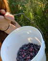 cialikechia Altpins Profile Picture