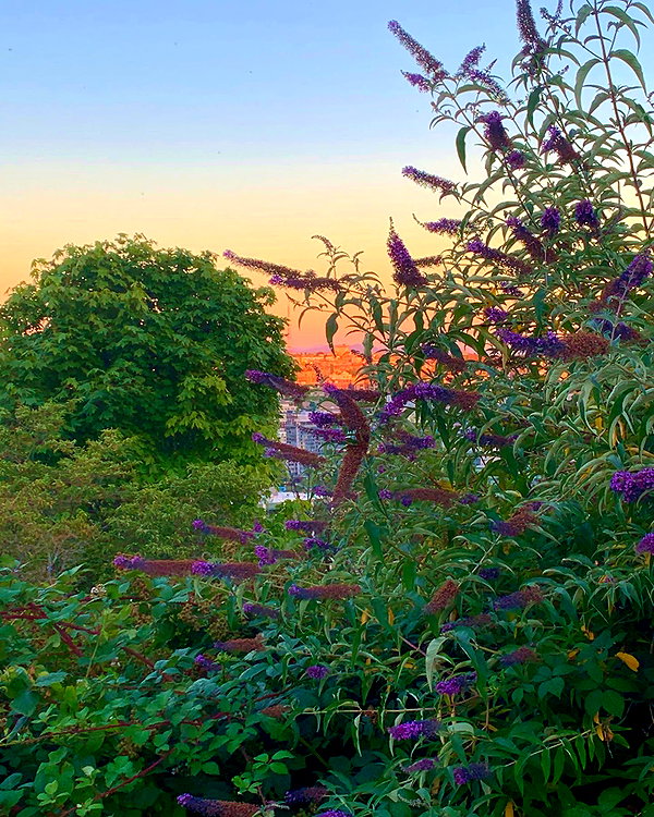 cialikechia instagram image archive image