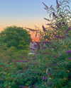 cialikechia Altpins Profile Picture