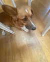 cialikechia Altpins Profile Picture