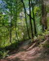 cialikechia Altpins Profile Picture