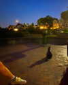 cialikechia Altpins Profile Picture