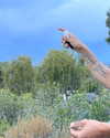 cialikechia Altpins Profile Picture