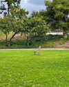 cialikechia Altpins Profile Picture