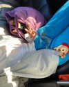 cialikechia Altpins Profile Picture