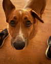 cialikechia Altpins Profile Picture