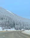cialikechia Altpins Profile Picture