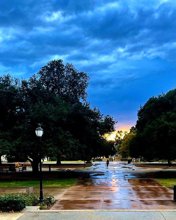 cialikechia instagram image archive image