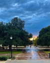 cialikechia Altpins Profile Picture