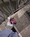 cialikechia Altpins Profile Picture
