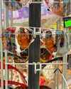 cialikechia Altpins Profile Picture