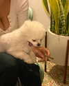 cialikechia Altpins Profile Picture