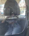 cialikechia Altpins Profile Picture