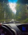 cialikechia Altpins Profile Picture