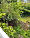 cialikechia Altpins Profile Picture