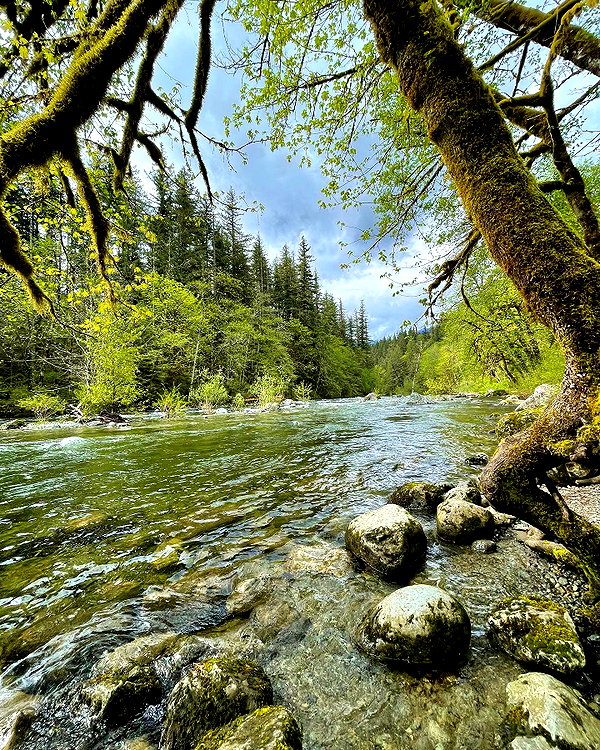 cialikechia instagram image archive image