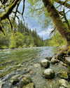 cialikechia Altpins Profile Picture