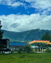 cialikechia Altpins Profile Picture