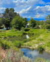 cialikechia Altpins Profile Picture