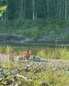 cialikechia Altpins Profile Picture