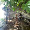 cialikechia Altpins Profile Picture