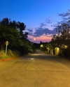 cialikechia Altpins Profile Picture
