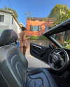 cialikechia Altpins Profile Picture