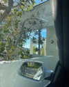 cialikechia Altpins Profile Picture