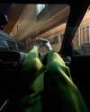 cialikechia Altpins Profile Picture