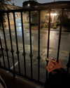 cialikechia Altpins Profile Picture