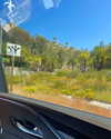 cialikechia Altpins Profile Picture