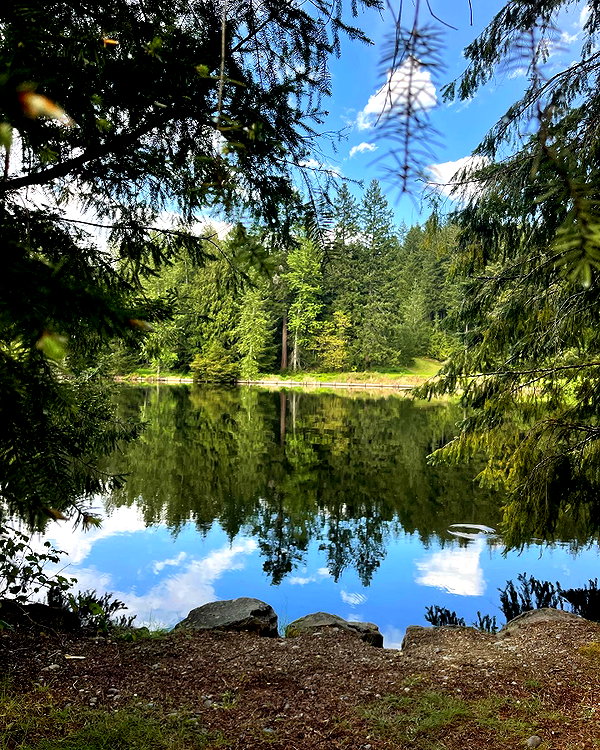 cialikechia instagram image archive image