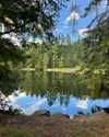 cialikechia Altpins Profile Picture