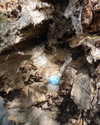 cialikechia Altpins Profile Picture