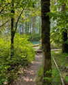cialikechia Altpins Profile Picture