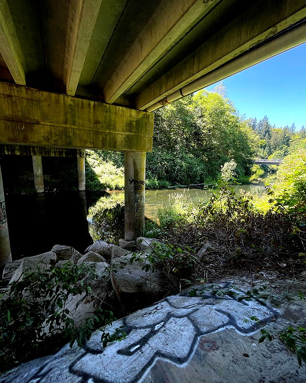 cialikechia instagram image archive image