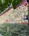 cialikechia Altpins Profile Picture