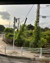 cialikechia Altpins Profile Picture