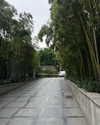 cialikechia Altpins Profile Picture