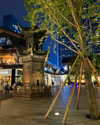 cialikechia Altpins Profile Picture