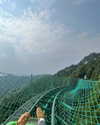 cialikechia Altpins Profile Picture