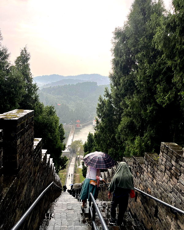 cialikechia instagram image archive image