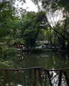 cialikechia Altpins Profile Picture