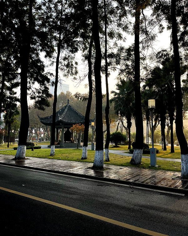 cialikechia instagram image archive image