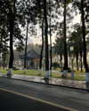 cialikechia Altpins Profile Picture