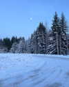 cialikechia Altpins Profile Picture
